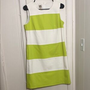 Lilly Pulitzer Green and White Striped Dress